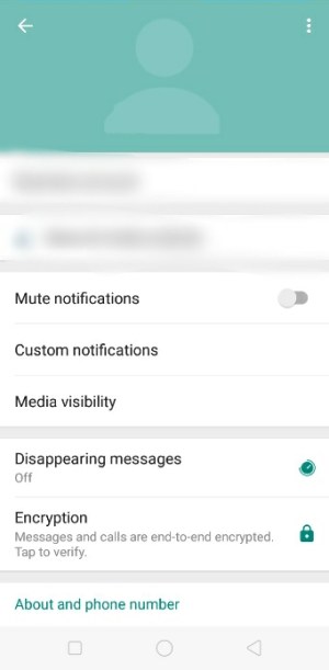 Whatsapp Disappearing